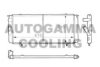 AUTOGAMMA 100867 Radiator, engine cooling